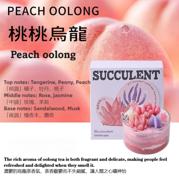 DIY Sand & Succulent Cactus Candle Making Kit -PEACH OOLONG - Image 2