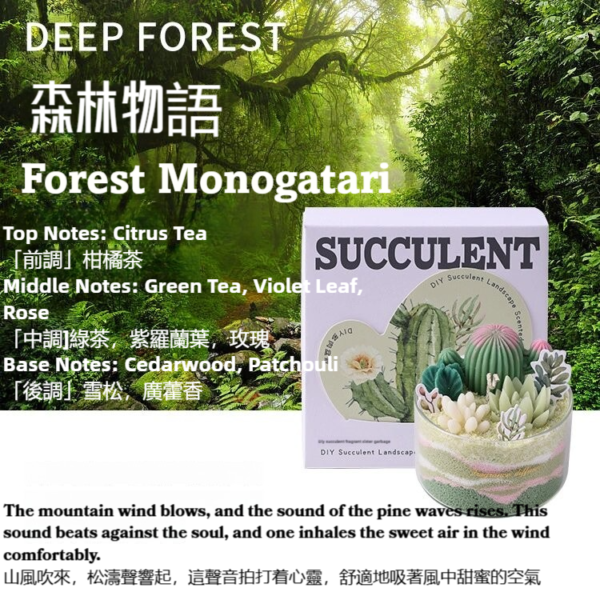 Eco-Friendly Succulent DIY Sand Candle (Greed tea& Cedarwood Fragrance) - Image 2