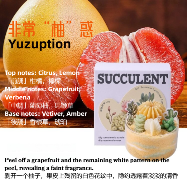 DIY Fruit Scented Sand Candle Kit - Succulent Cactus Craft - Image 2
